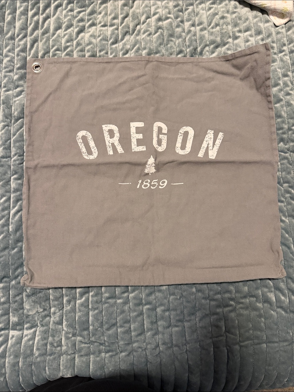 Oregon Gray Decorative Throw Pillow Cover